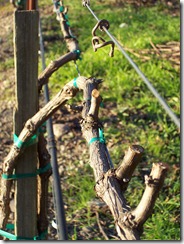 94361398_8d6a1a7a37_o