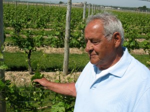 gabby Gabby tending to the vines.